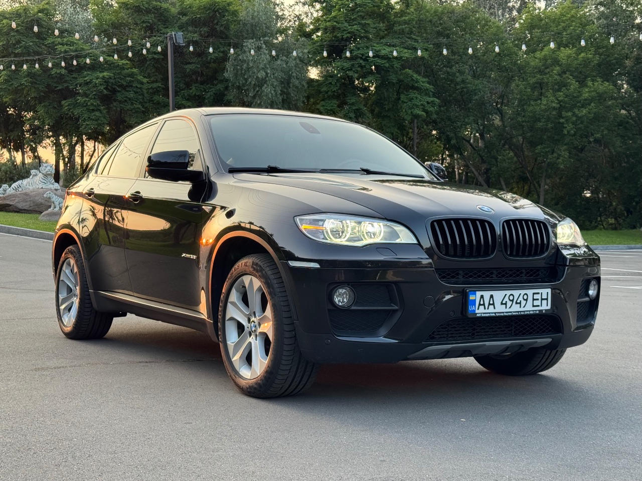 BMW X6 - фото 10