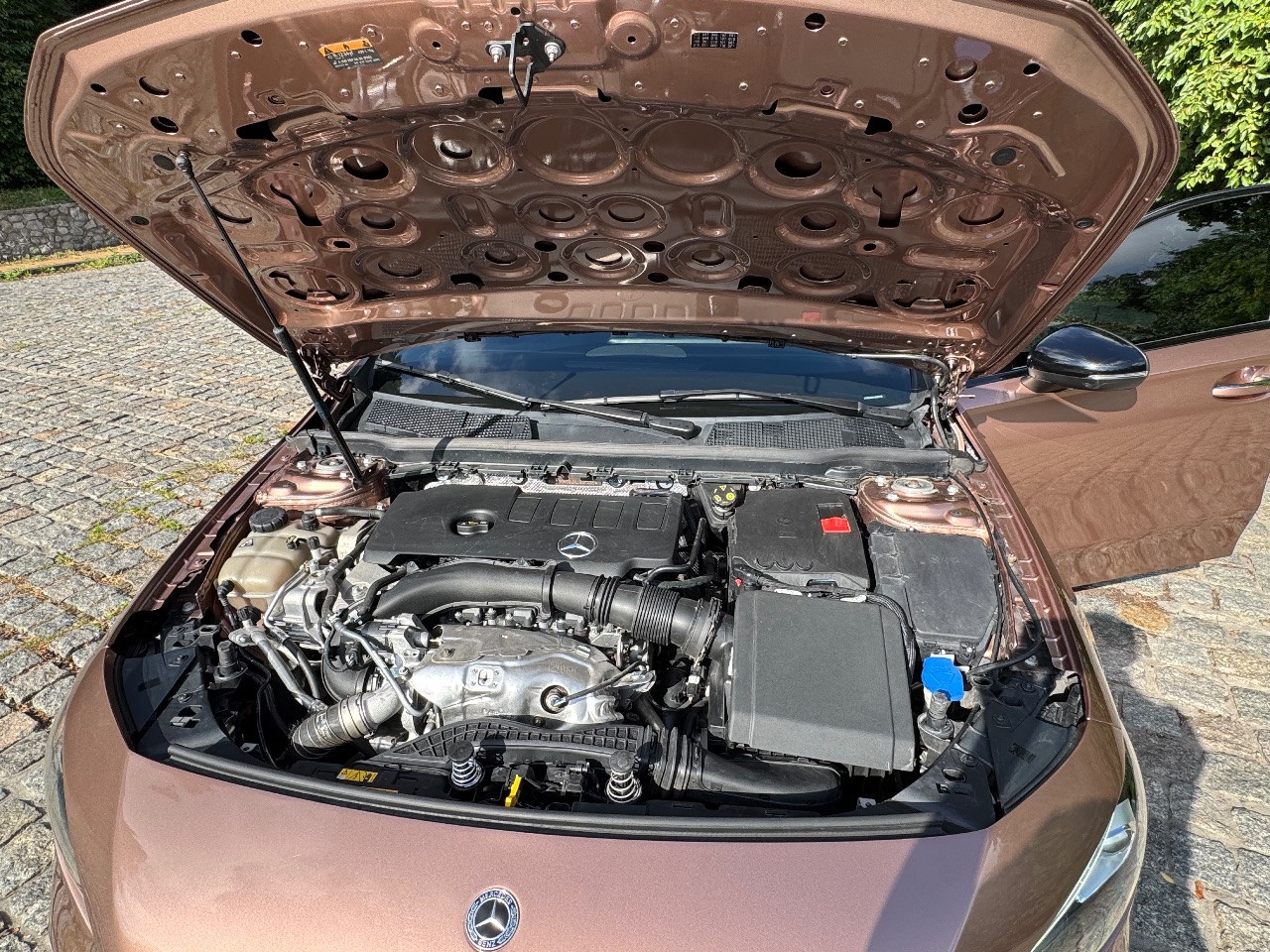 Mercedes-Benz A-Класс AMG - фото 12