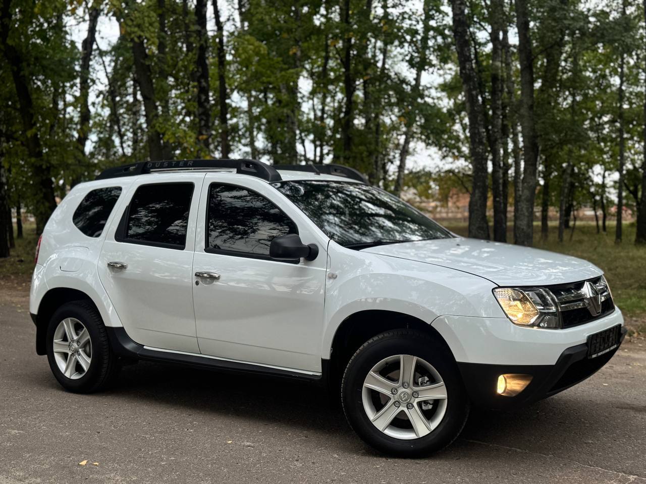 Renault Duster - фото 1