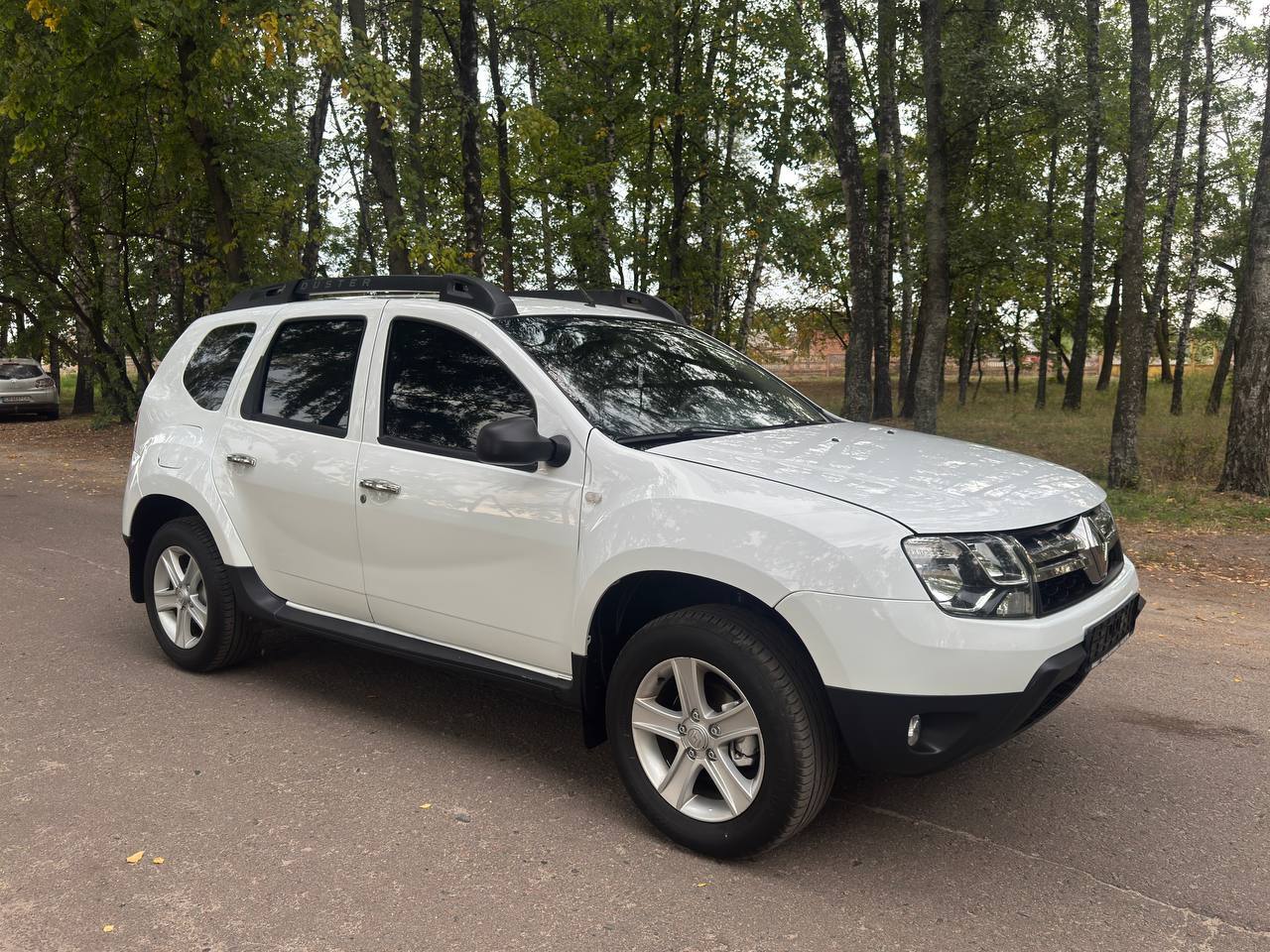 Renault Duster - фото 24