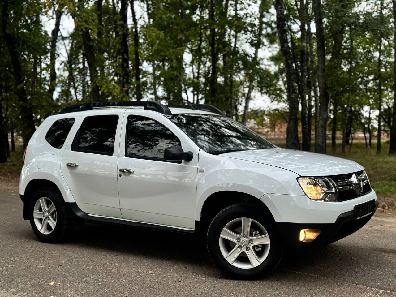 Renault Duster - фото 53