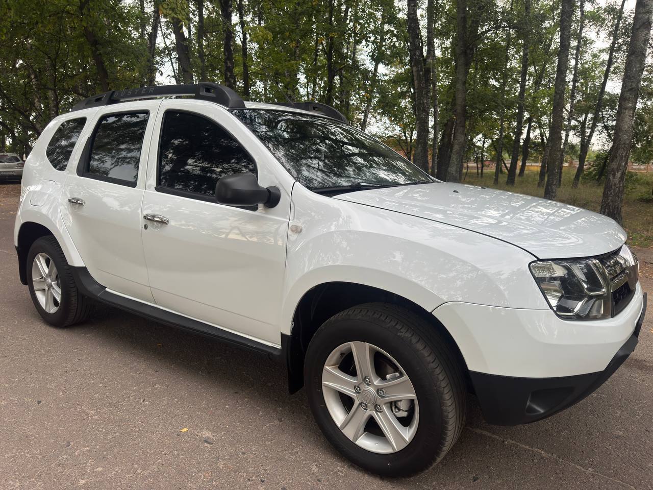 Renault Duster - фото 20