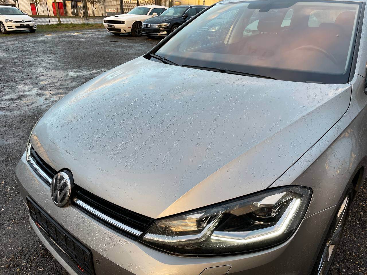 Volkswagen Golf Sportsvan - фото 7