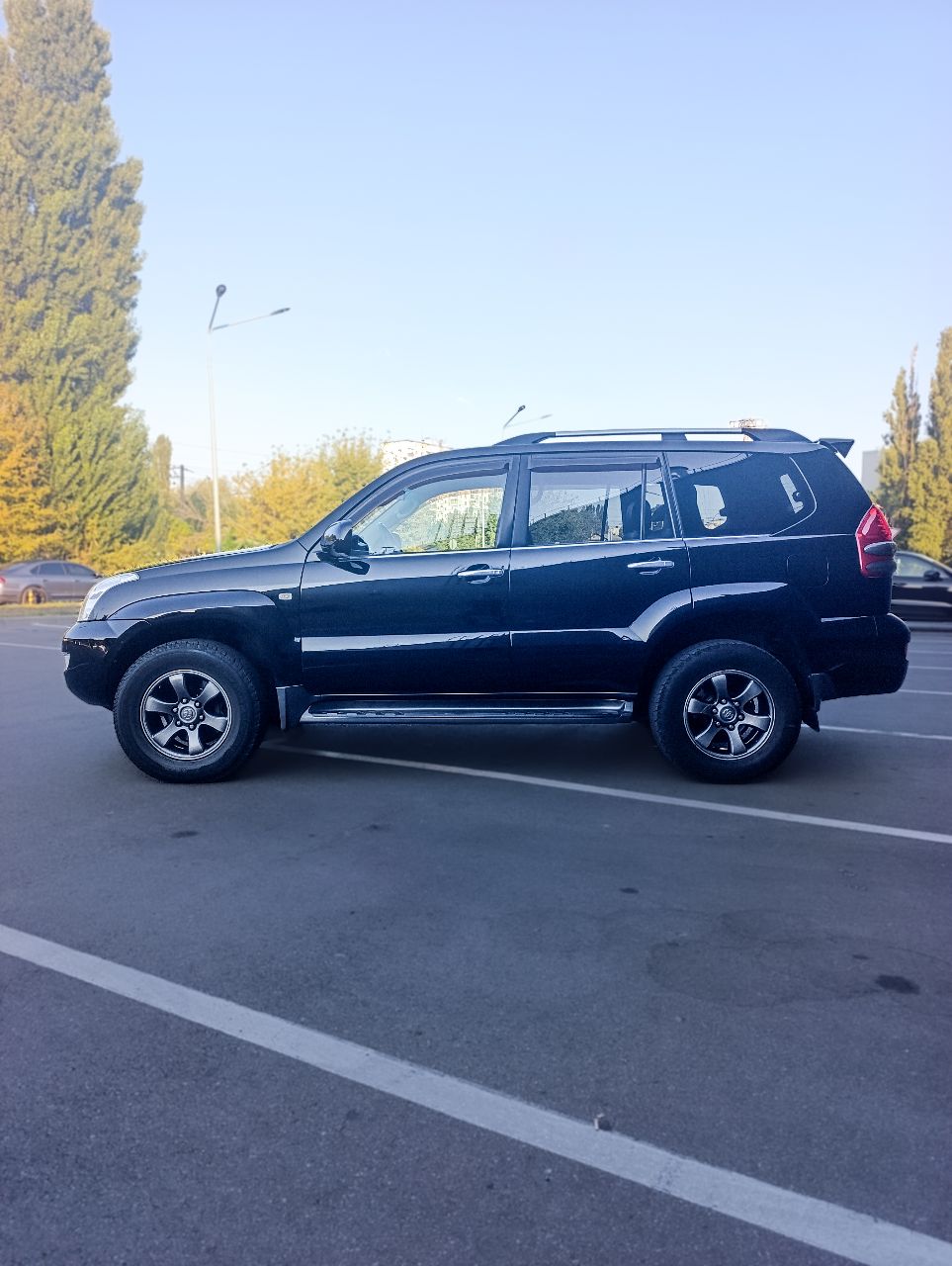 Toyota Land Cruiser - фото 10