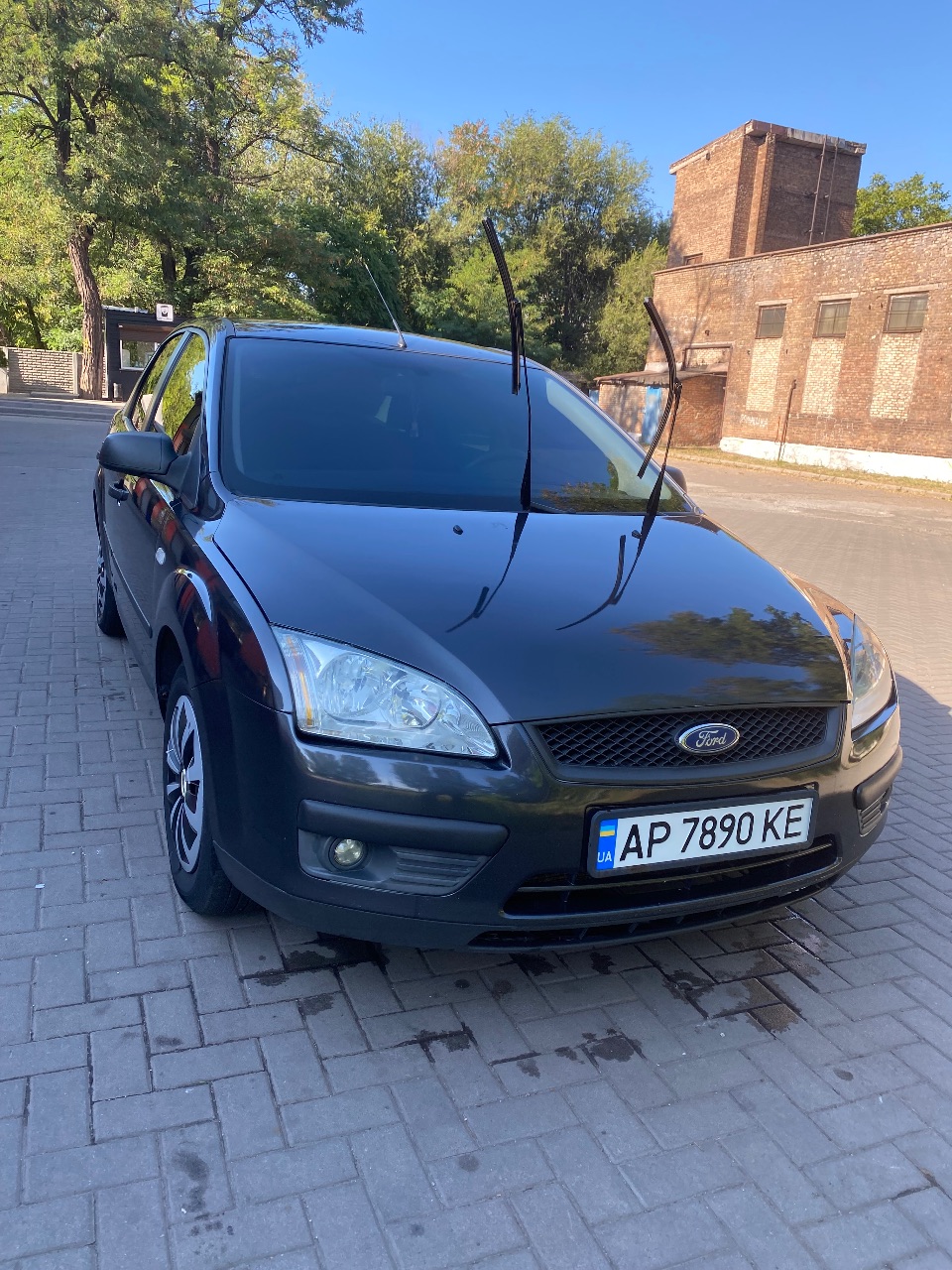 Ford Focus - фото 8