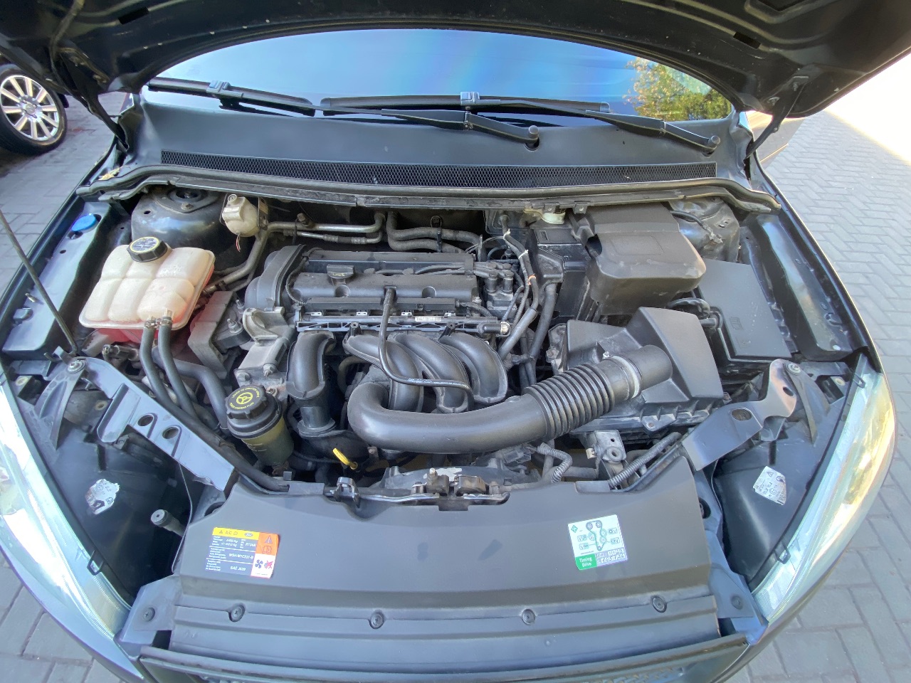 Ford Focus - фото 12