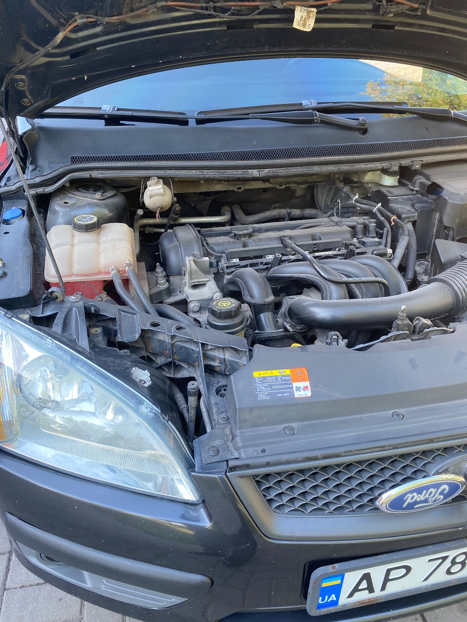 Ford Focus - фото 14