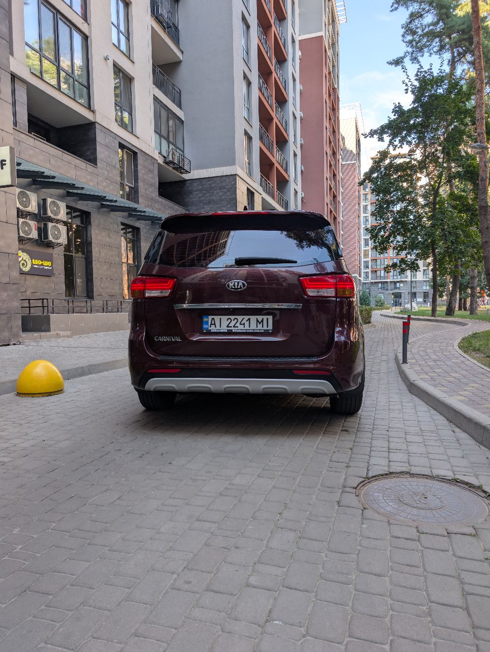 Kia Carnival - фото 6