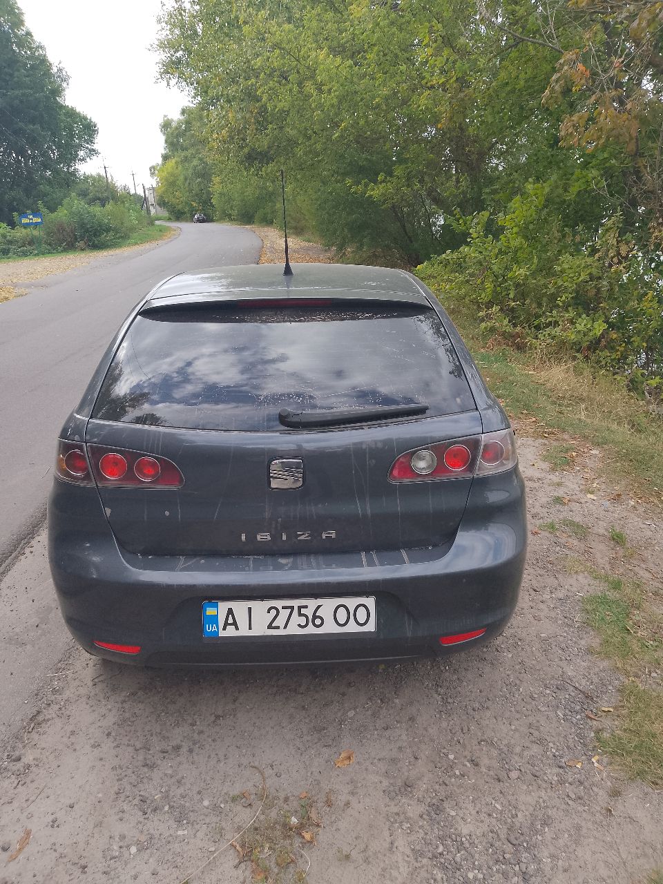 SEAT Ibiza - фото 8