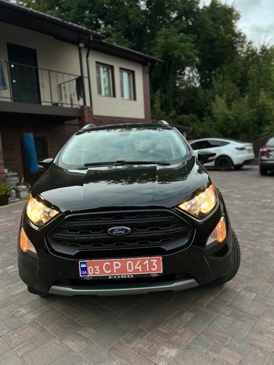 Ford EcoSport - фото 9