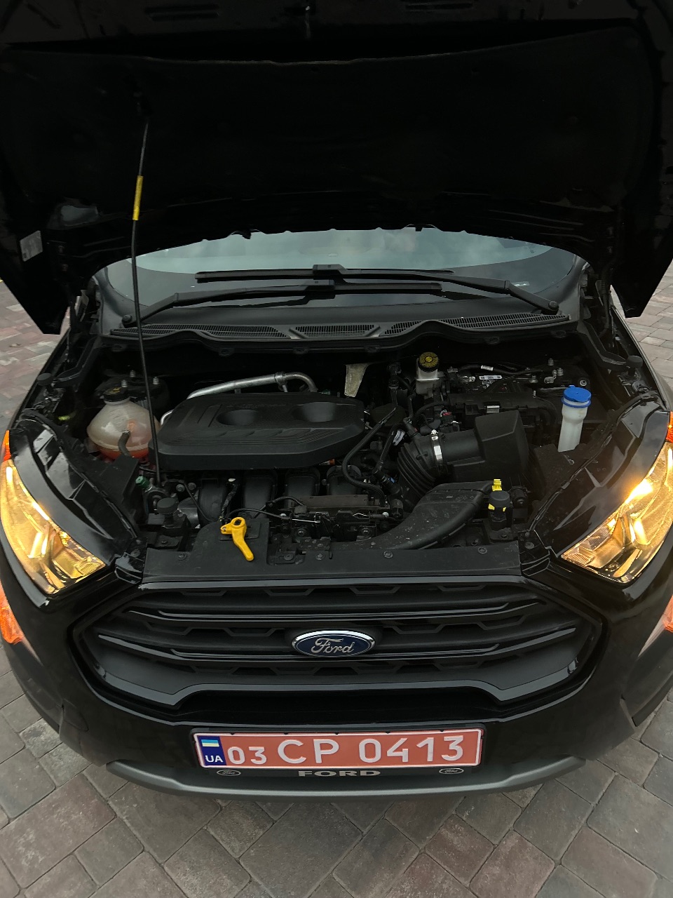 Ford EcoSport - фото 10