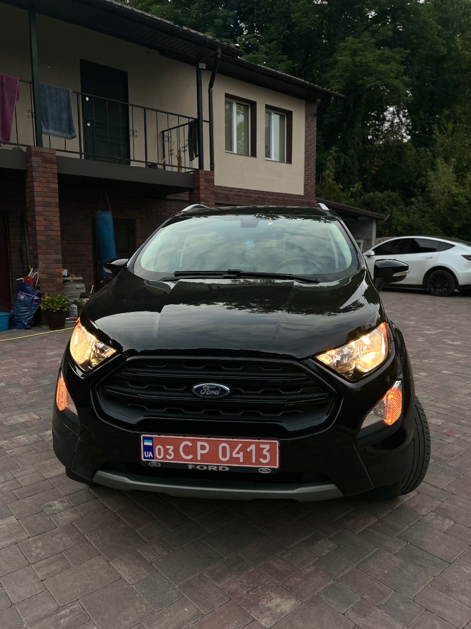 Ford EcoSport - фото 2