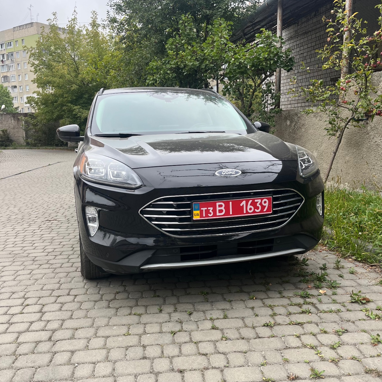 Ford Escape - фото 1