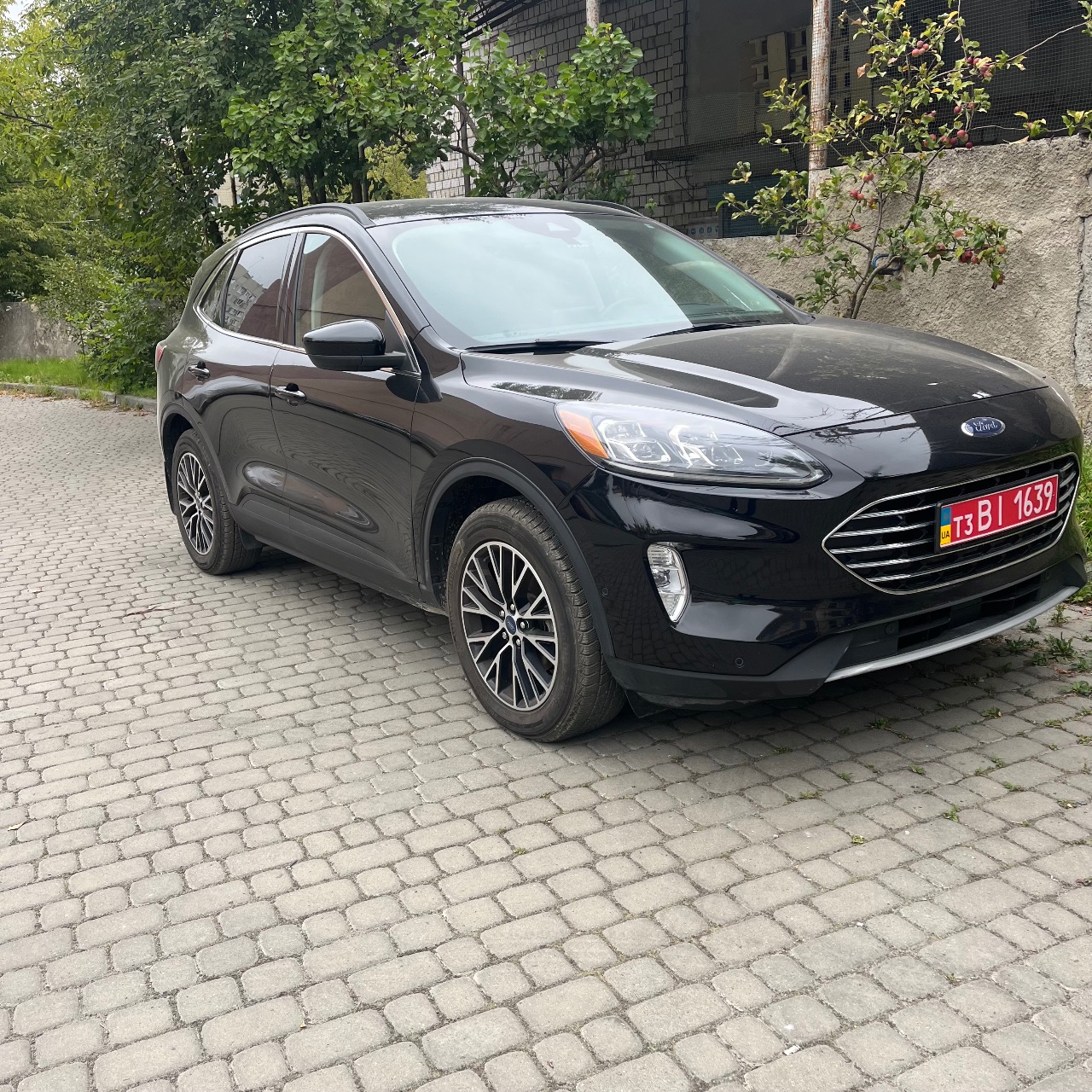 Ford Escape - фото 2