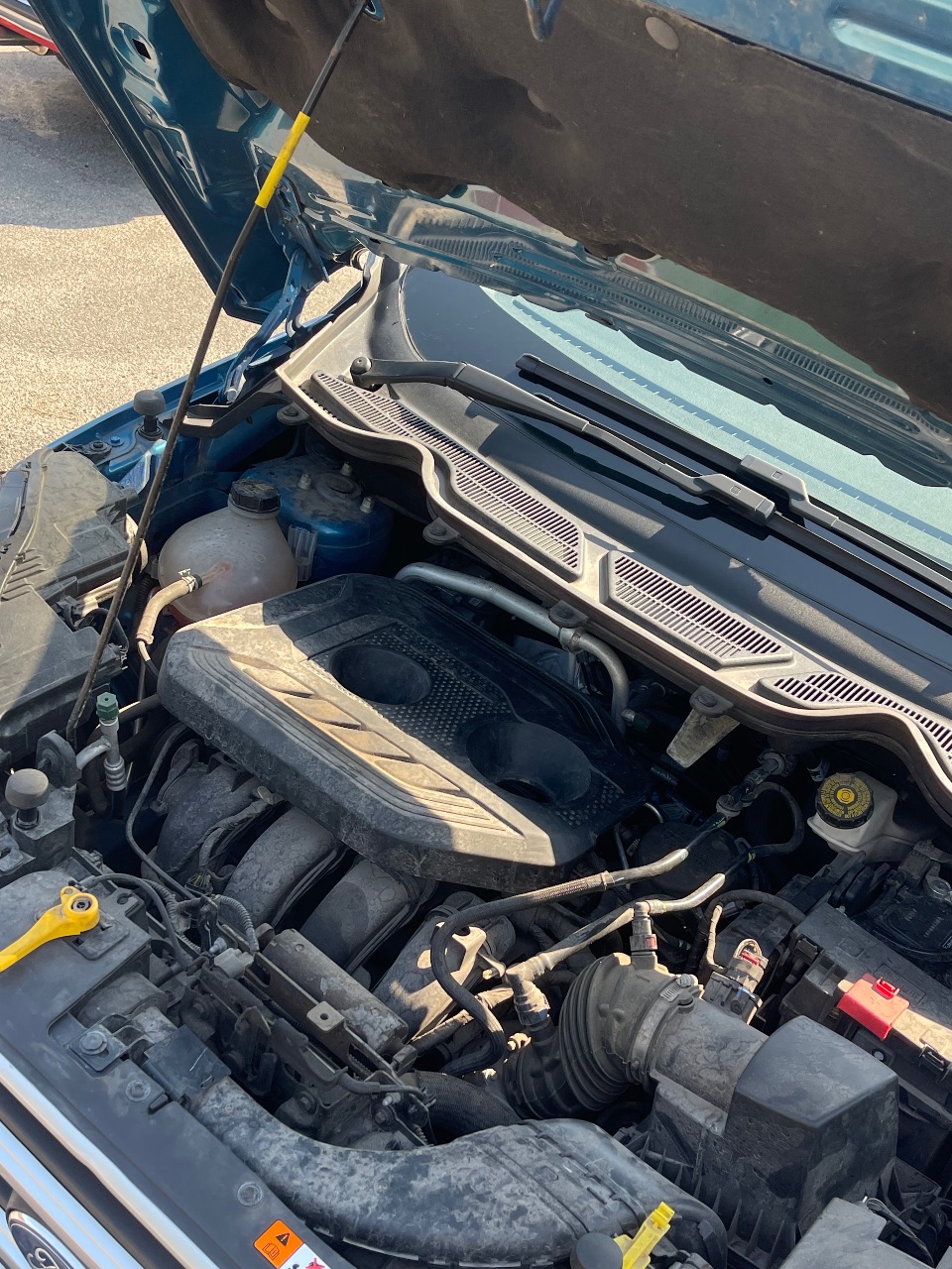 Ford EcoSport - фото 12