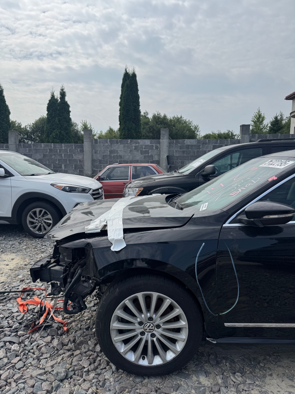 Volkswagen Passat (North America and China) - фото 5