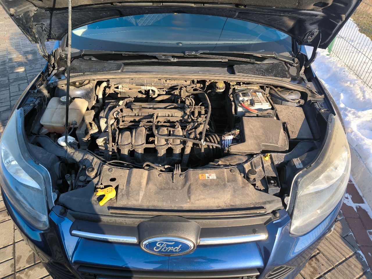 Ford Focus - фото 9