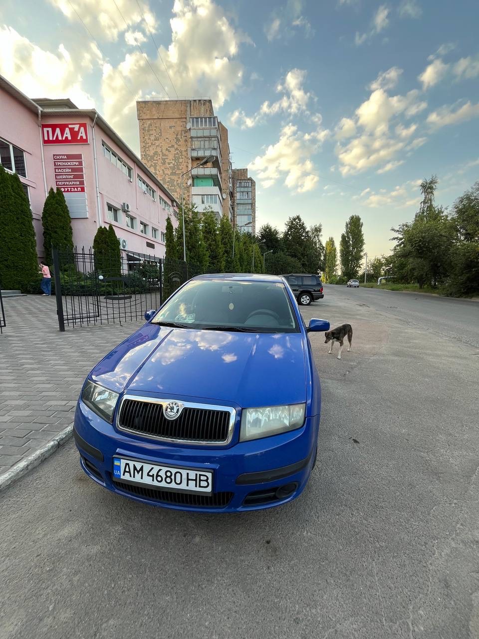 Skoda Fabia - фото 4