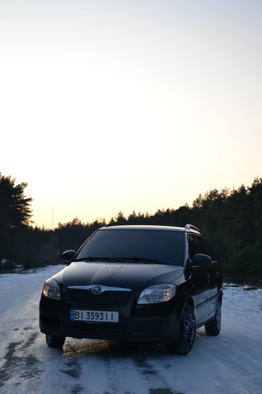 Skoda Fabia - фото 1