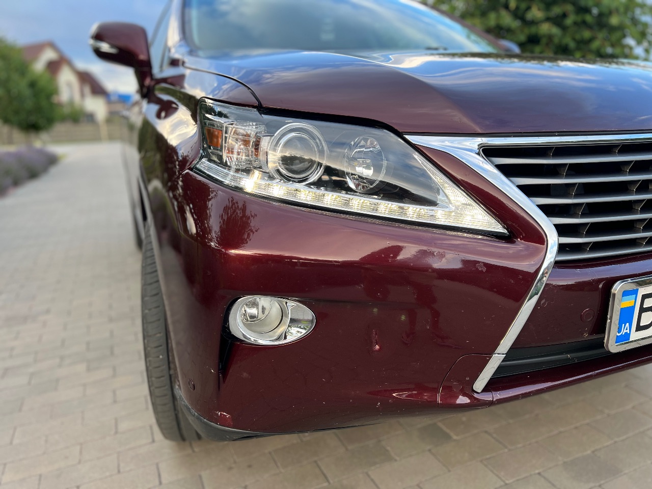 Lexus RX - фото 5