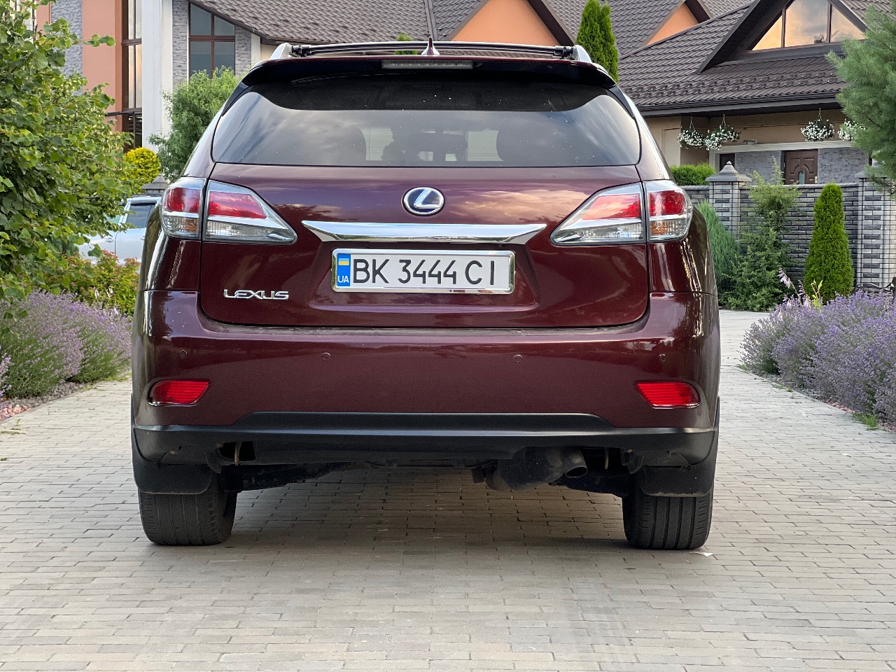 Lexus RX - фото 3