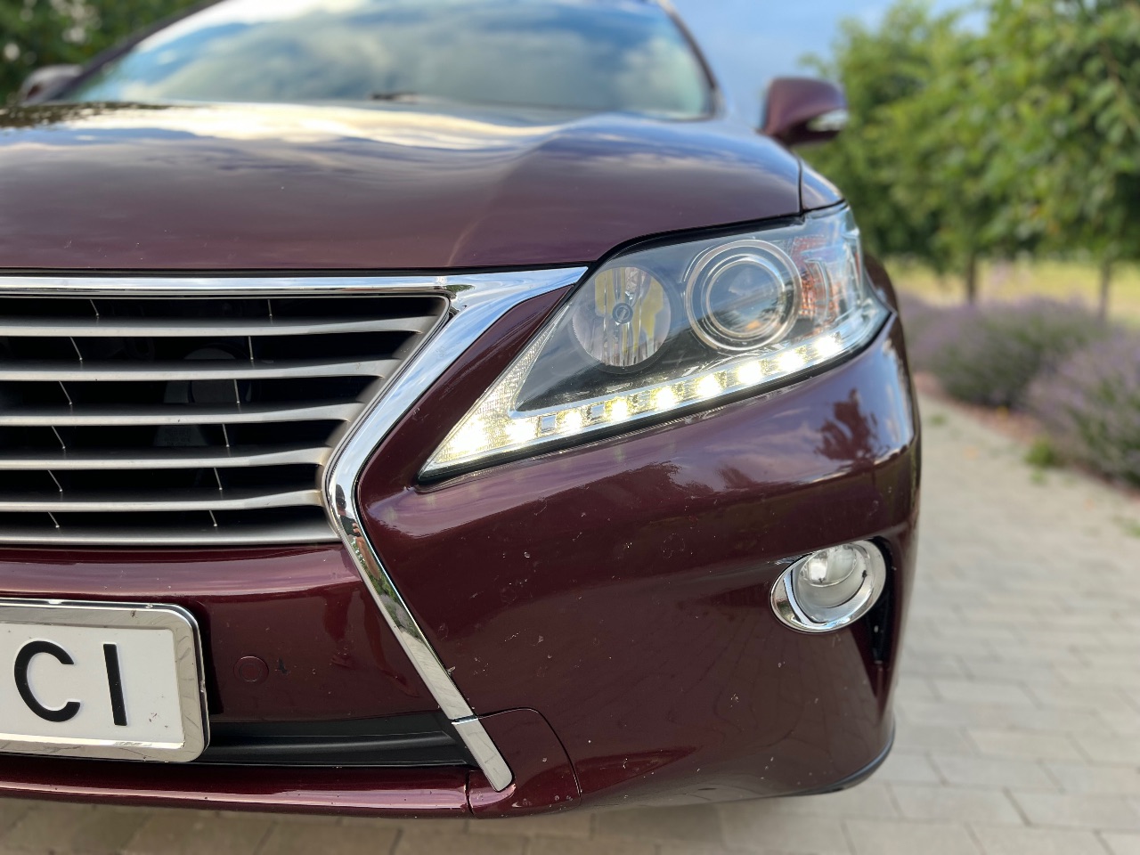 Lexus RX - фото 6