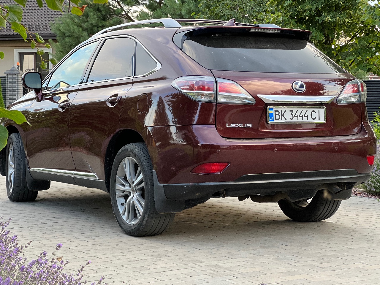 Lexus RX - фото 7
