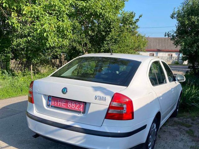 Skoda Octavia - фото 3