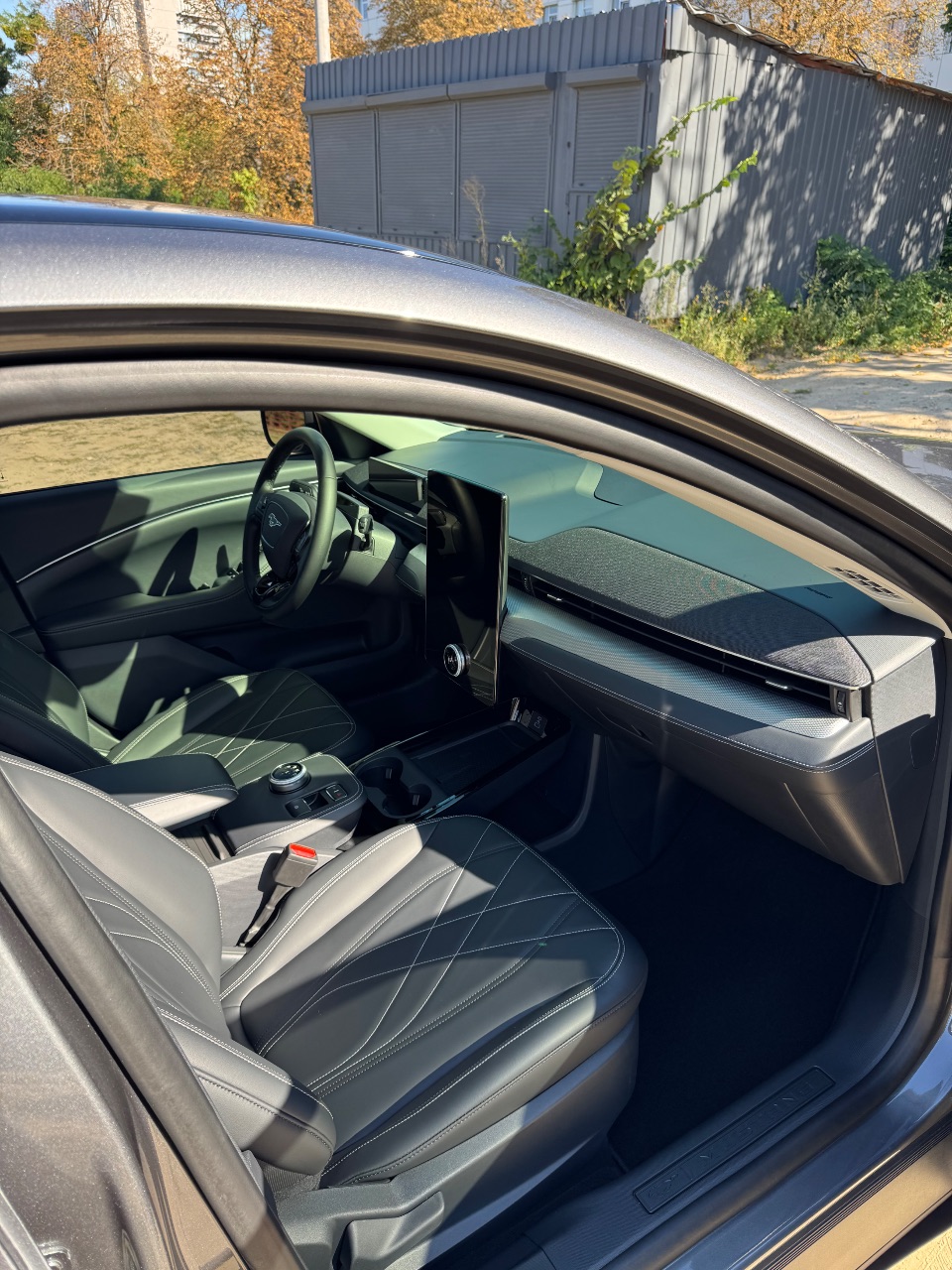 Ford Mustang Mach-E - фото 10