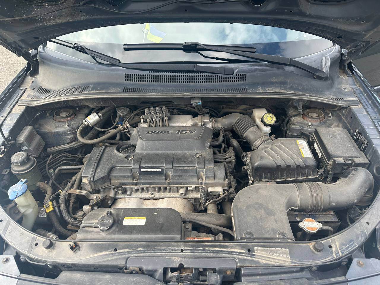 Kia Sportage - фото 7