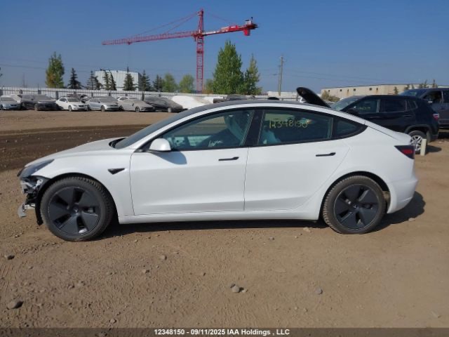 Tesla Model 3 - фото 14