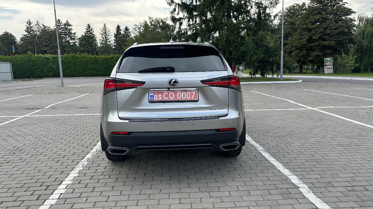 Lexus NX - фото 5