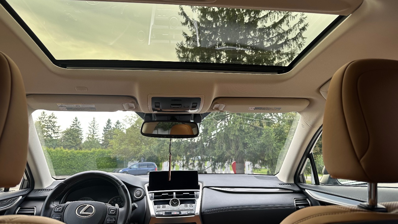 Lexus NX - фото 10