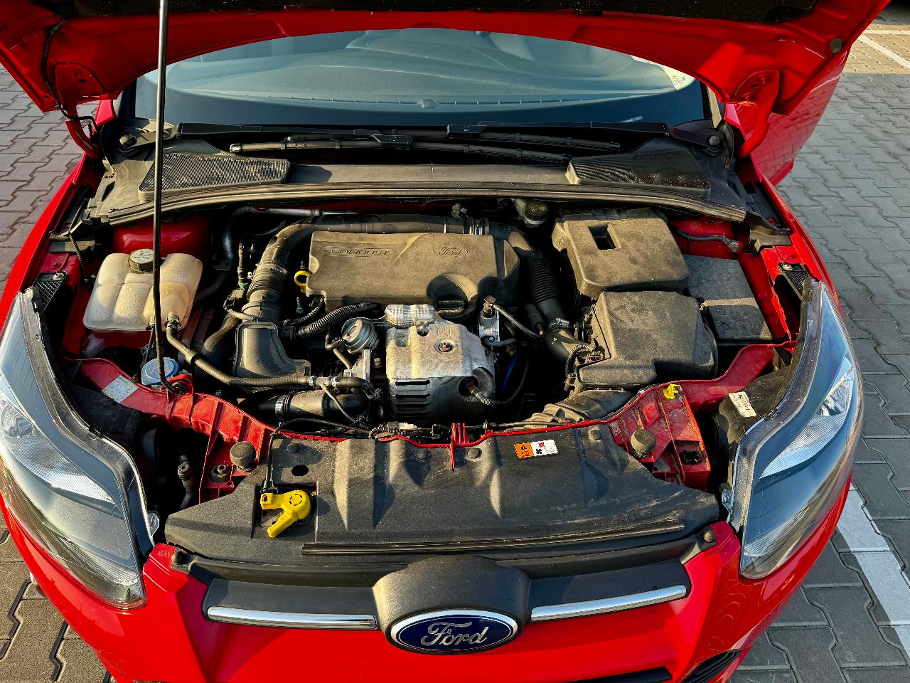Ford Focus - фото 3