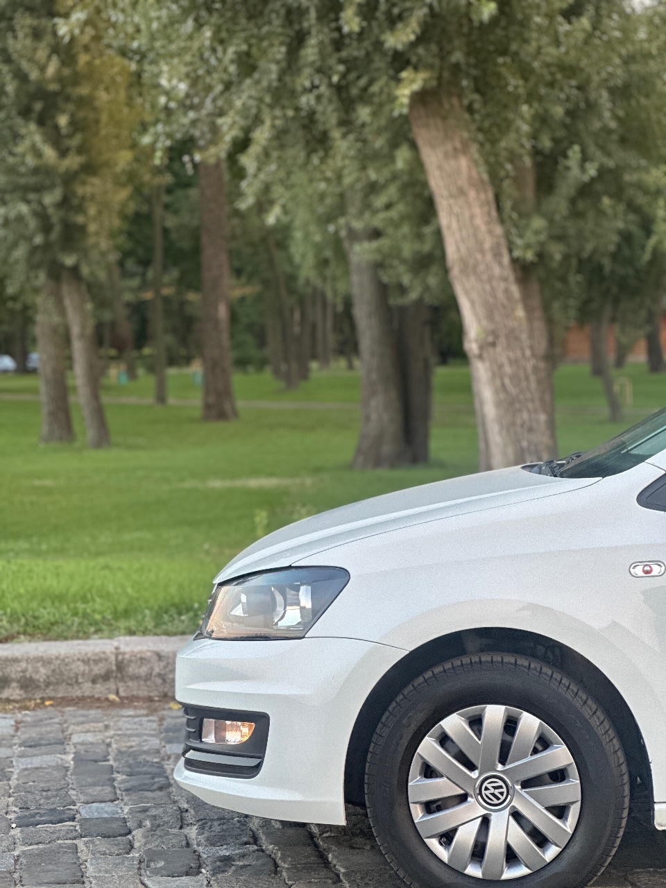 Volkswagen Polo - фото 10