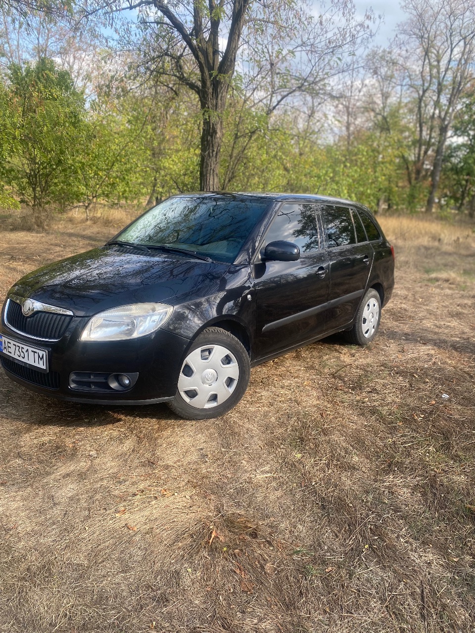Skoda Fabia - фото 2