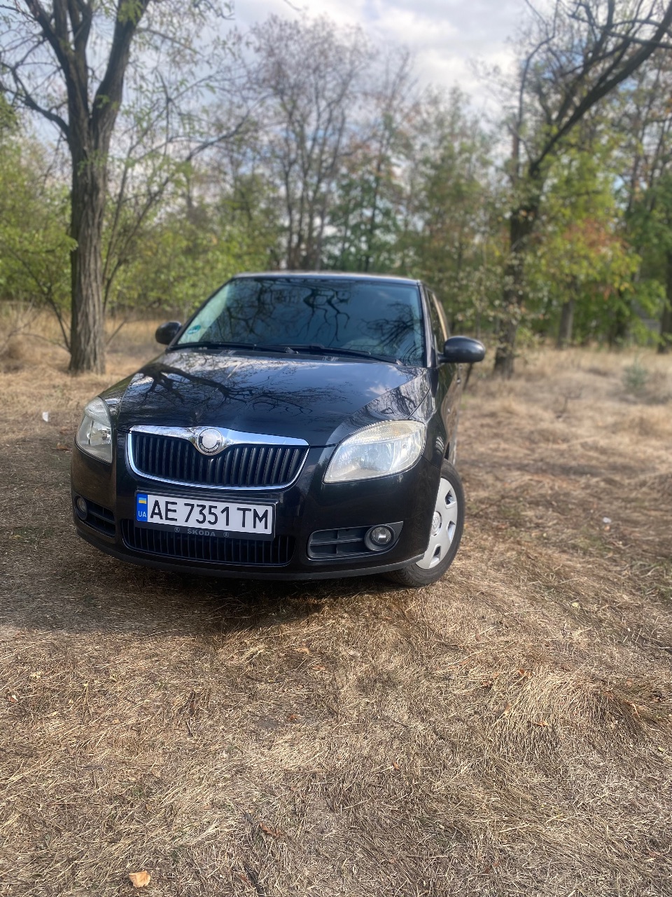 Skoda Fabia - фото 1