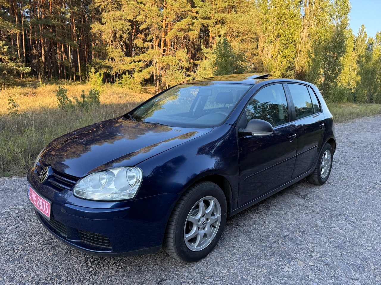 Volkswagen Golf - фото 6