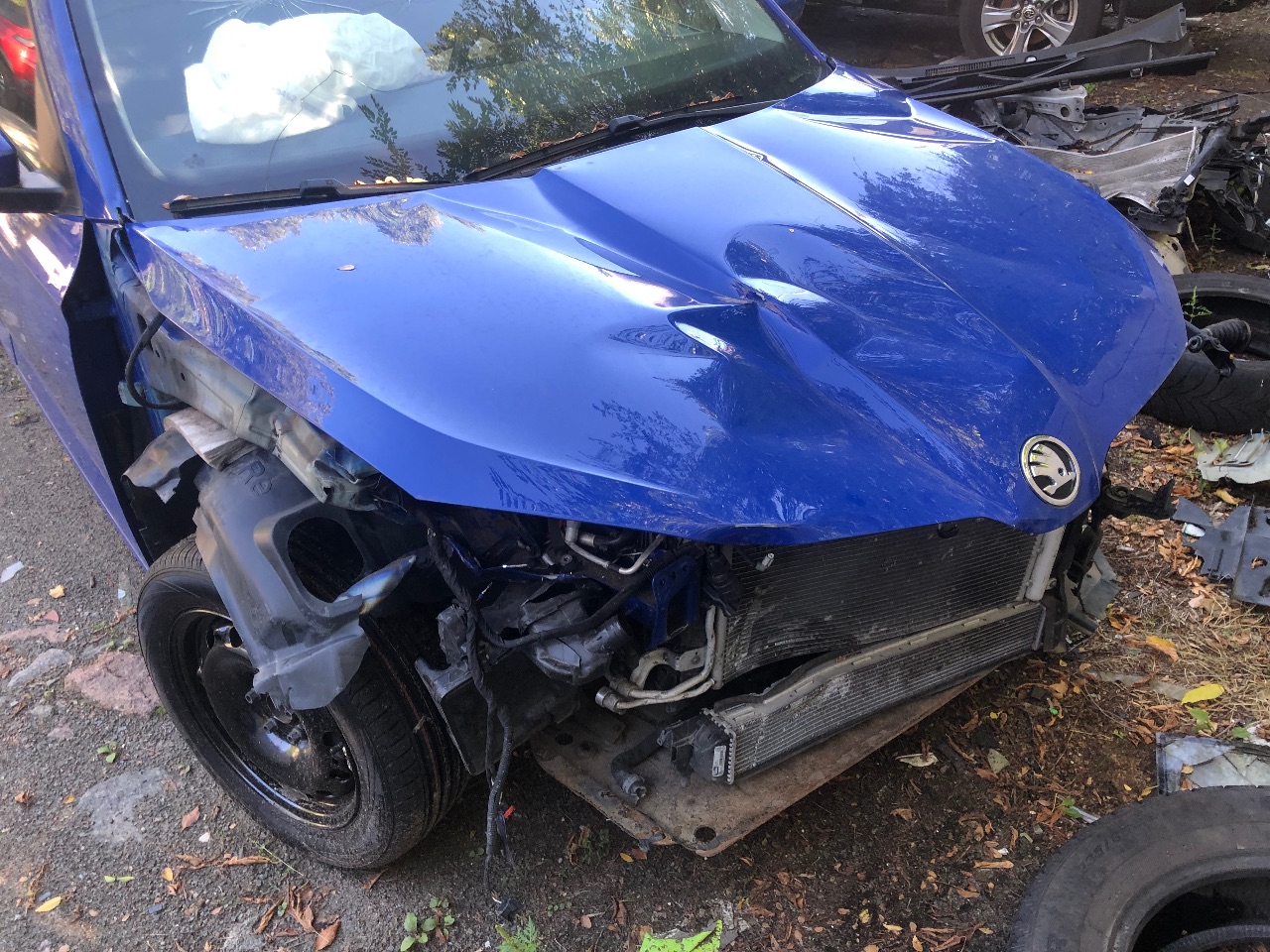 Skoda Fabia - фото 2