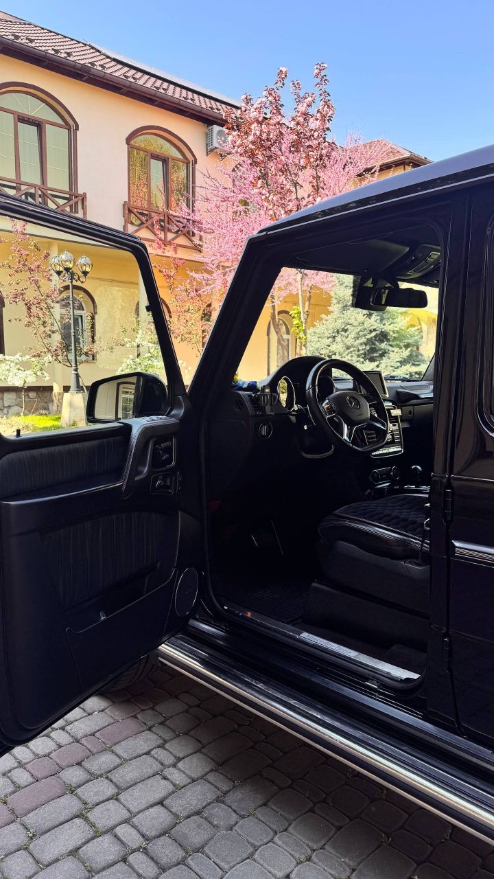 Mercedes-Benz G-Класс - фото 14
