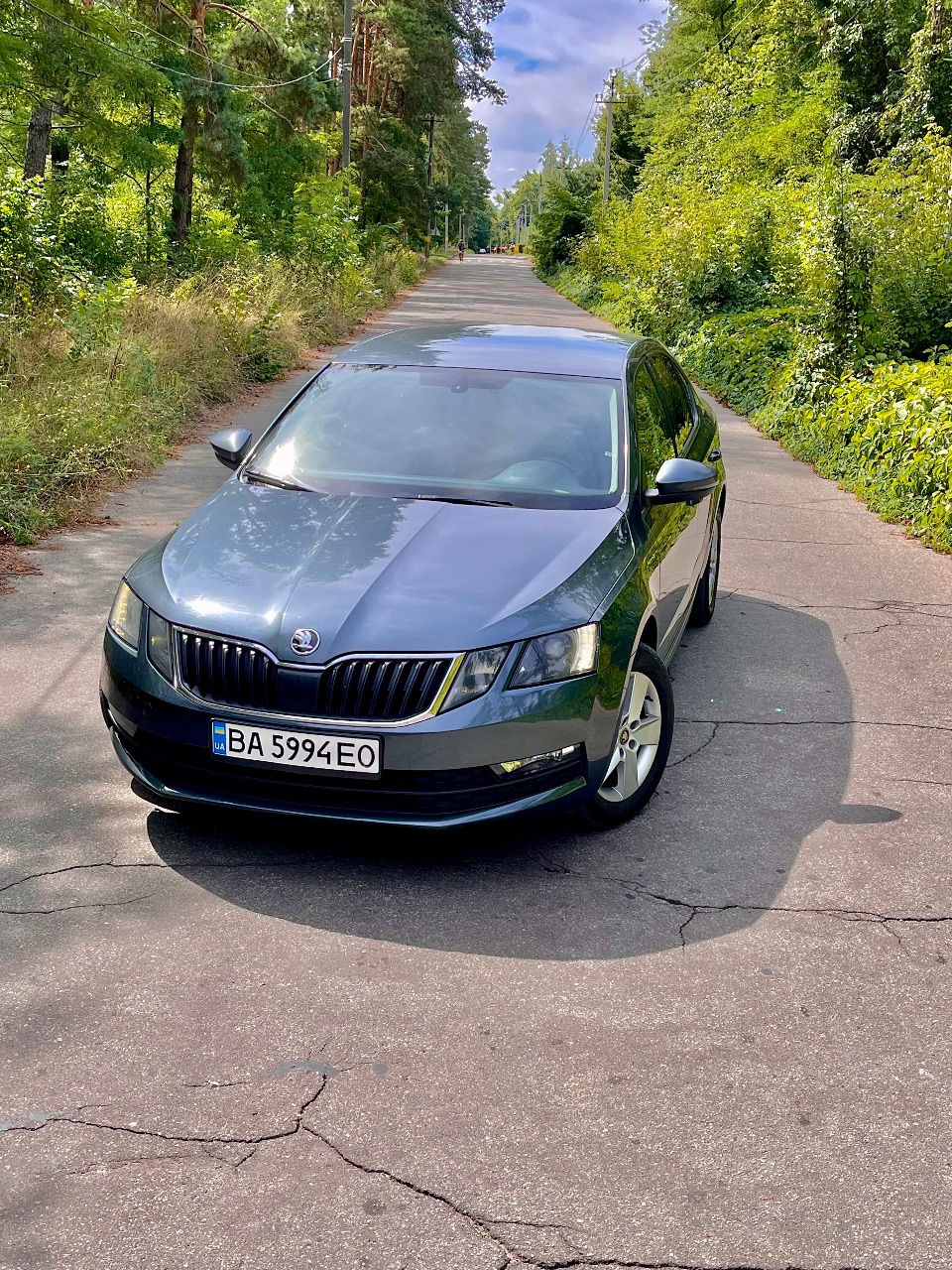Skoda Octavia - фото 2