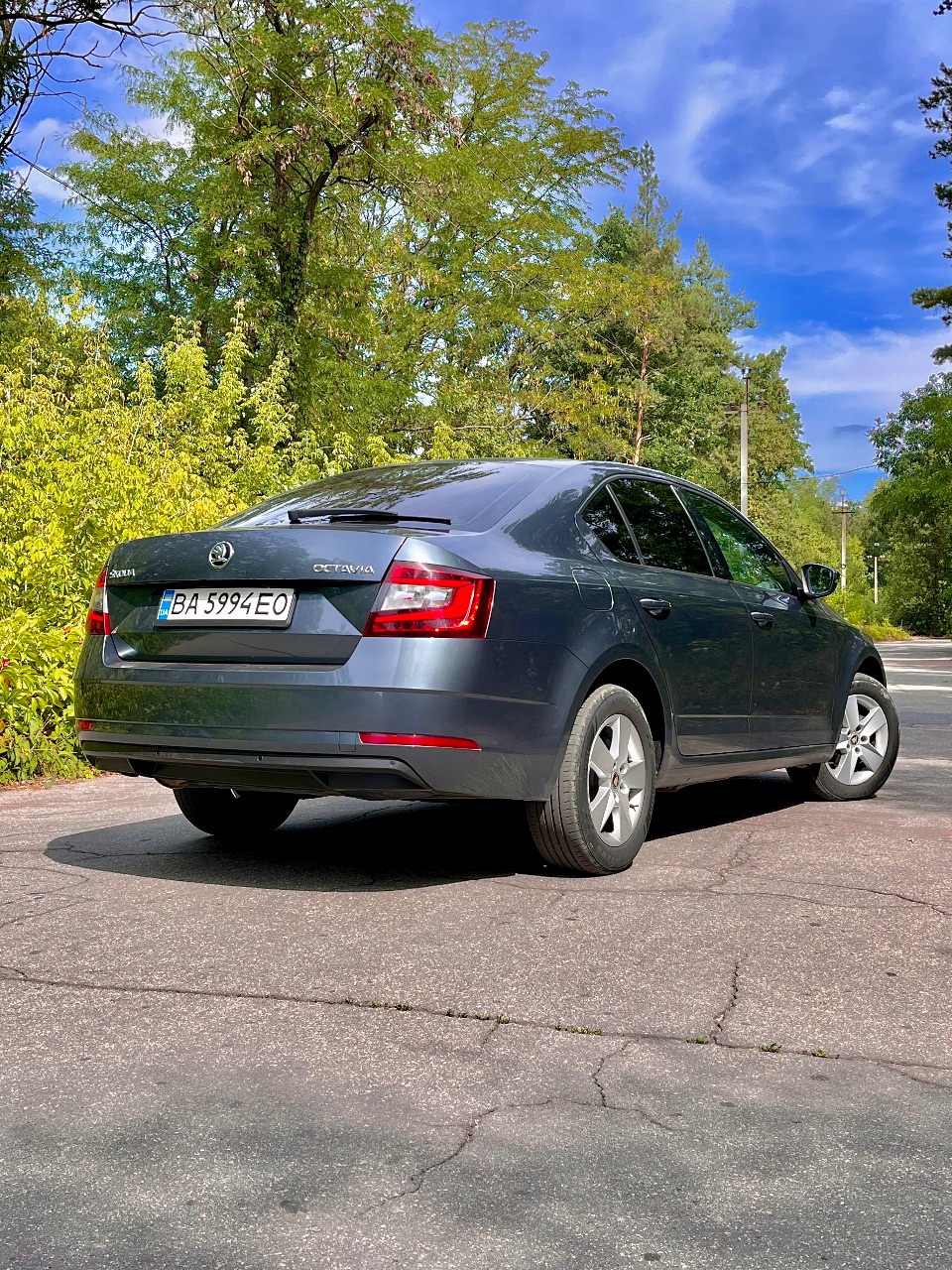 Skoda Octavia - фото 3