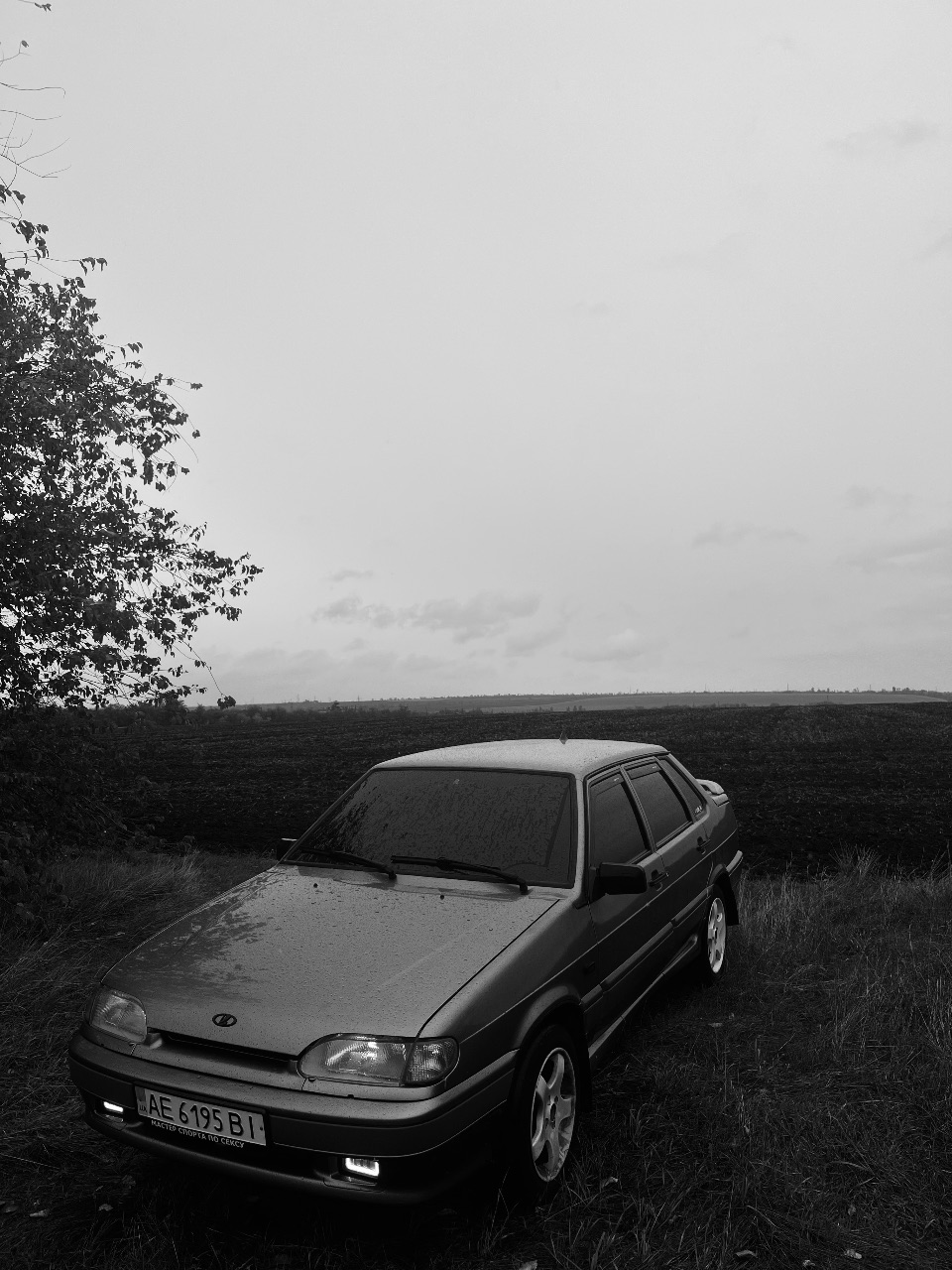 Lada (ВАЗ) 2115 - фото 6