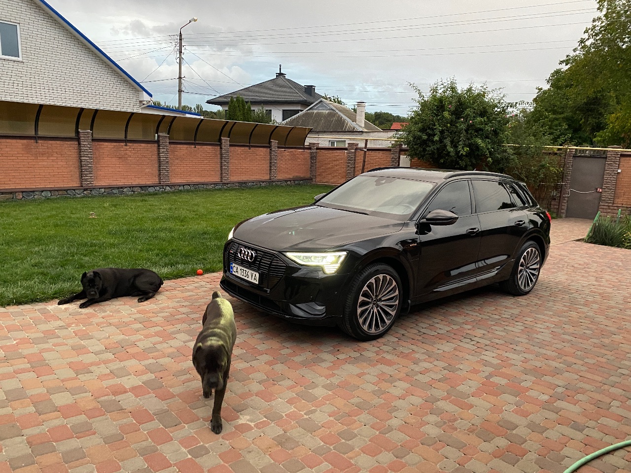 Audi e-tron - фото 6