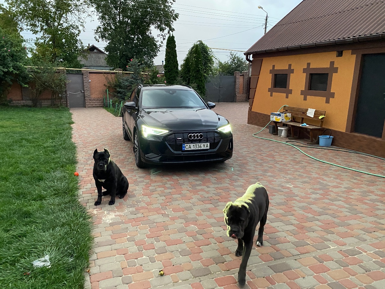 Audi e-tron - фото 3