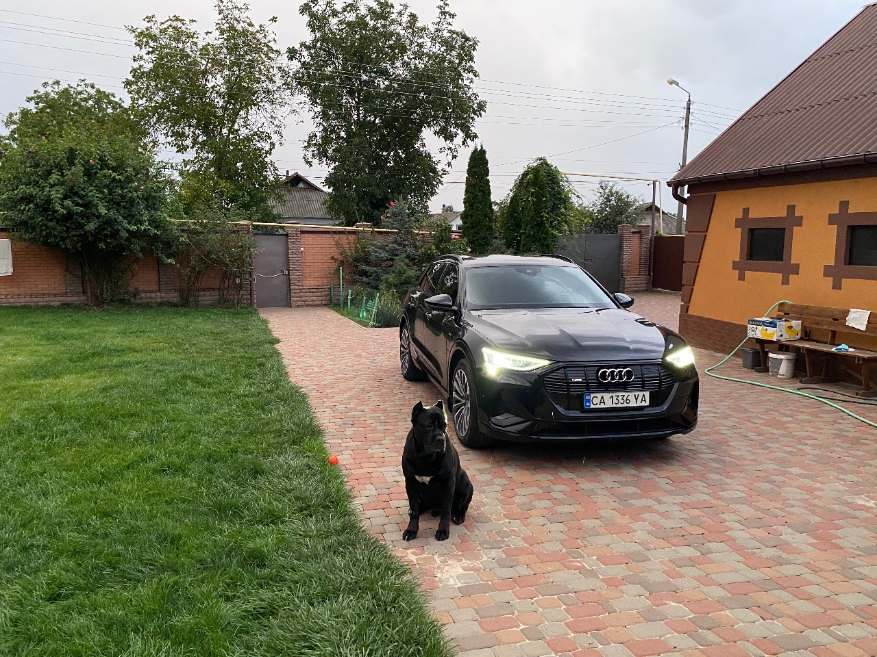 Audi e-tron - фото 7