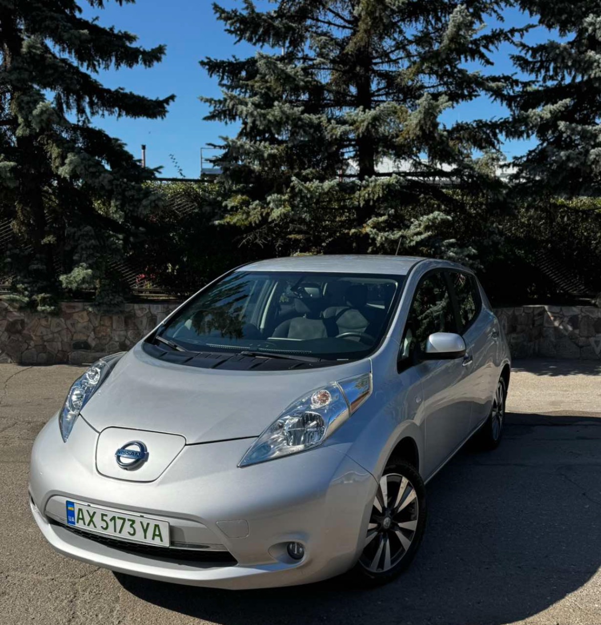 Nissan Leaf - фото 1