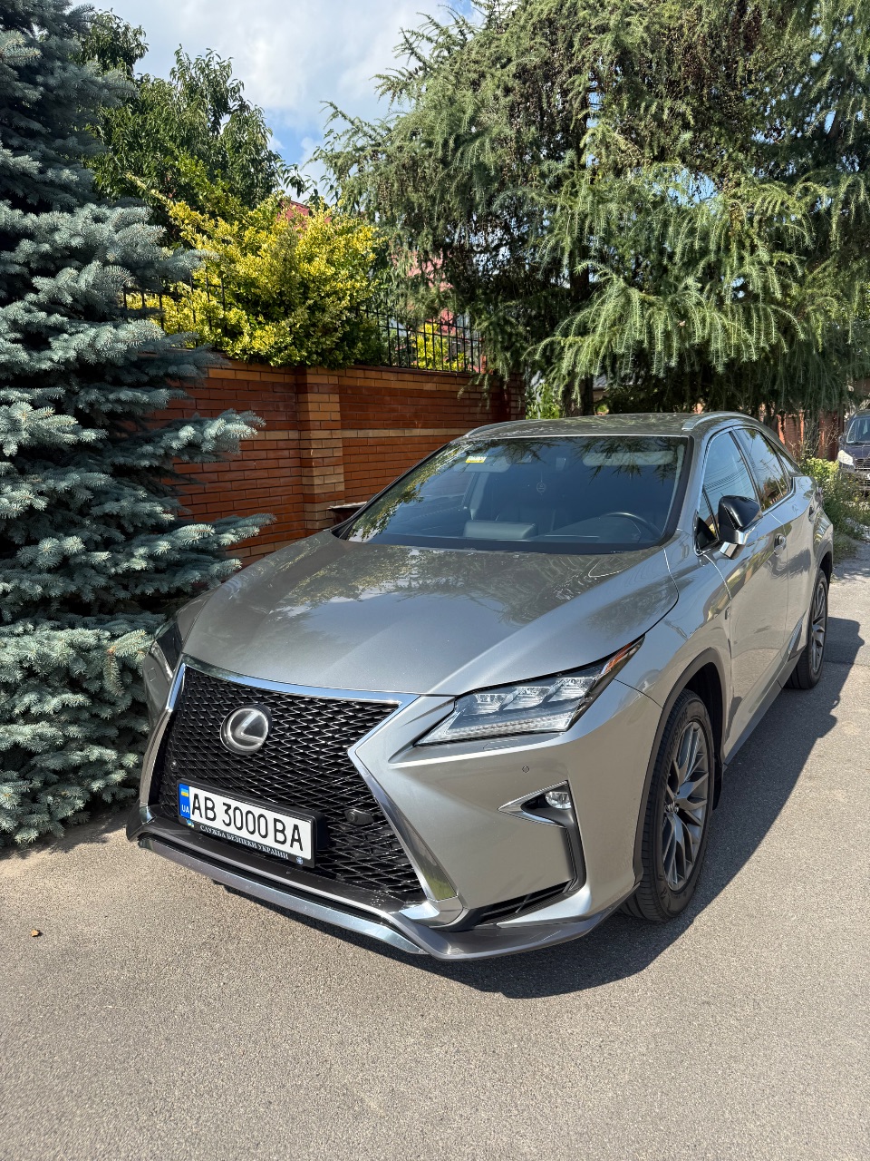 Lexus RX - фото 6