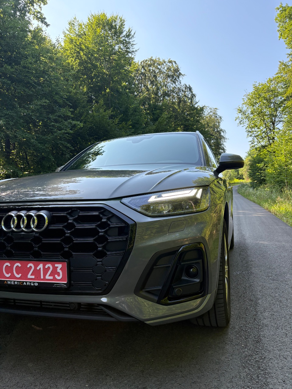 Audi SQ5 - фото 1