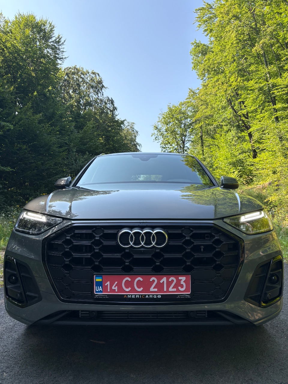 Audi SQ5 - фото 2
